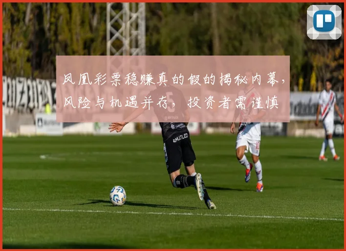 凤凰彩票稳赚真的假的揭秘内幕，风险与机遇并存，投资者需谨慎