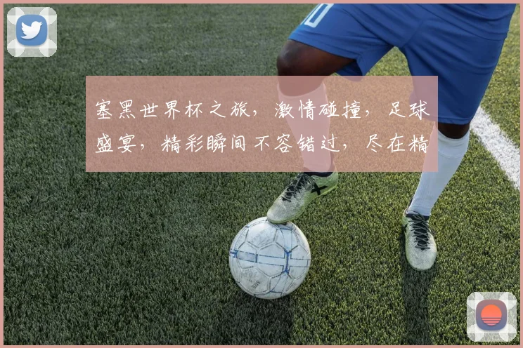 塞黑世界杯之旅，激情碰撞，足球盛宴，精彩瞬间不容错过，尽在精彩瞬间