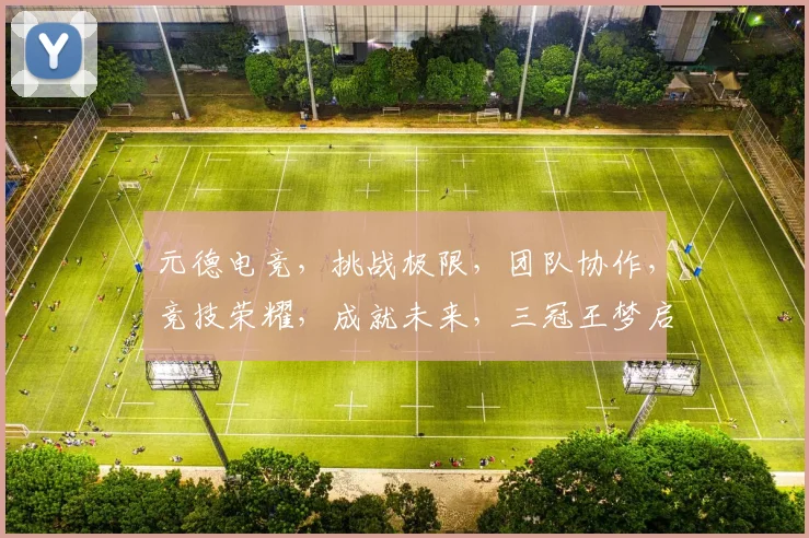 元德电竞，挑战极限，团队协作，竞技荣耀，成就未来，三冠王梦启航