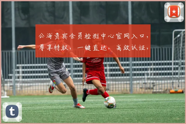 公海贵宾会员检测中心官网入口，尊享特权，一键直达，高效认证，轻松开启。