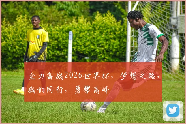 全力备战2026世界杯，梦想之路，我们同行，勇攀高峰