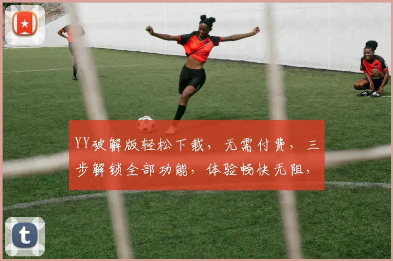 YY破解版轻松下载，无需付费，三步解锁全部功能，体验畅快无阻，赶紧试试吧